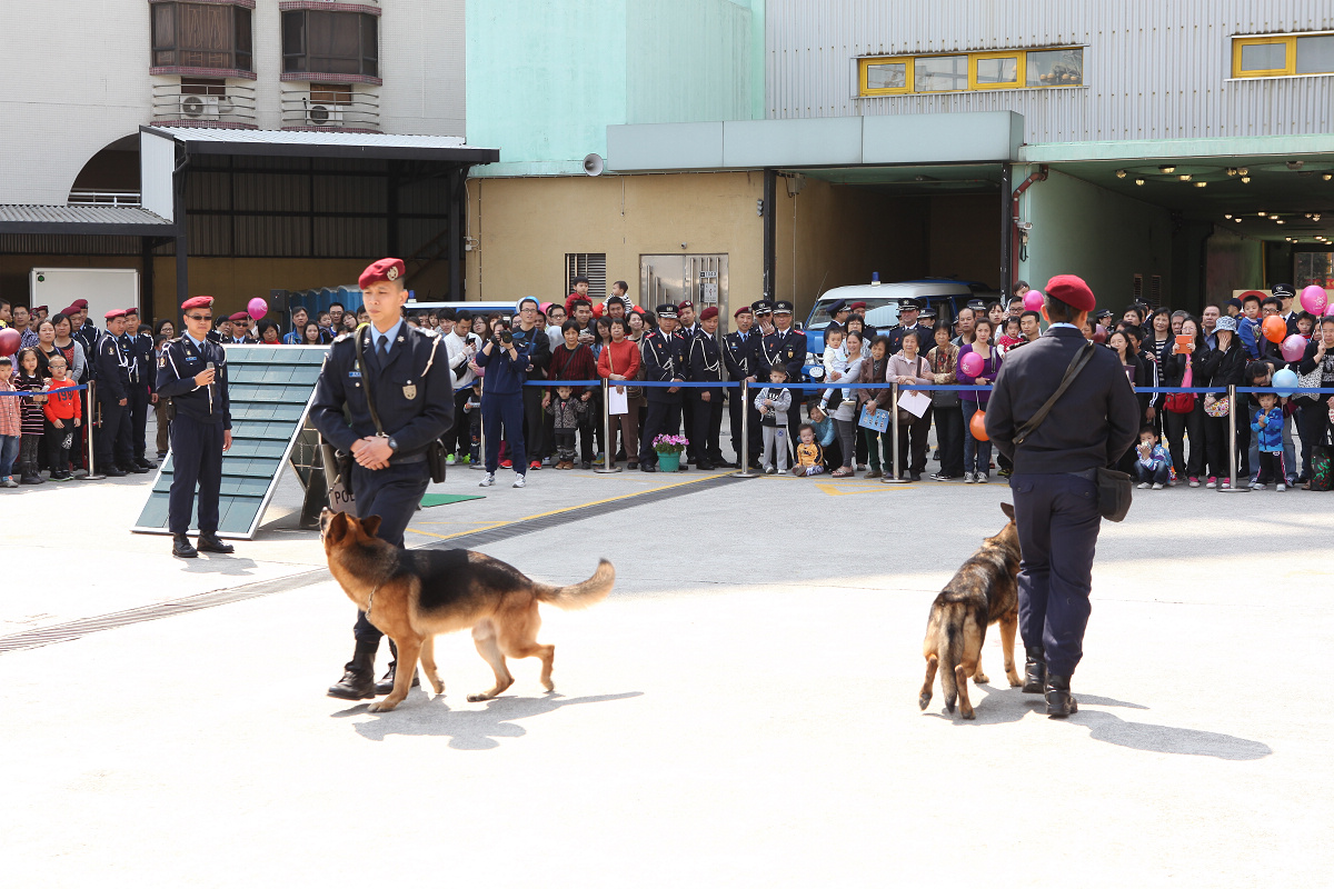 警犬隊作服從表演