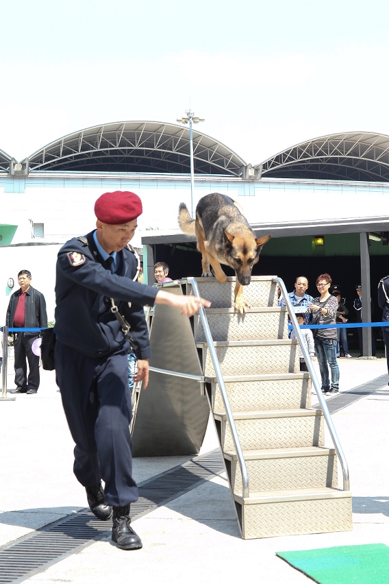 警犬隊表演訓練項目
