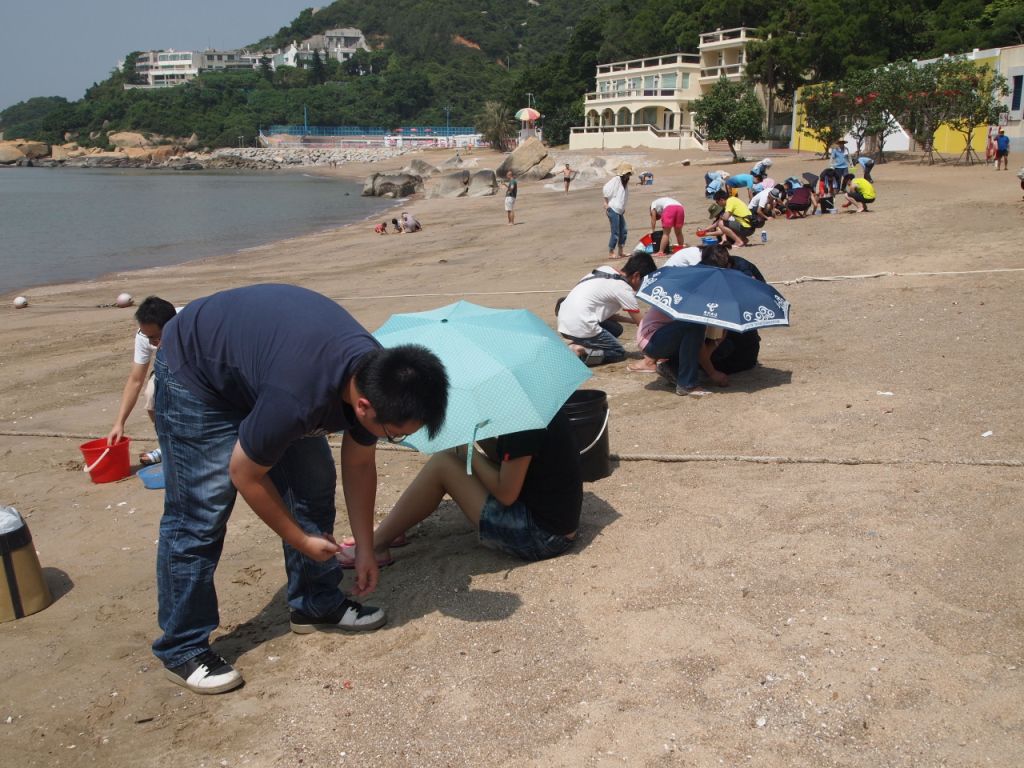相關部門與民間團體、市民合力清理膠粒。