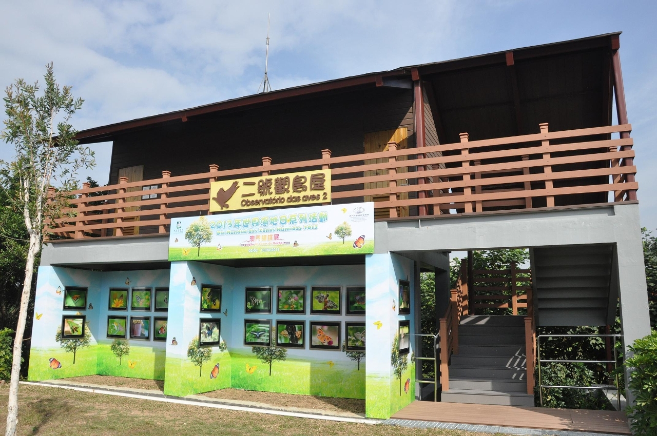生態區內展出多幅本地蝴蝶相片，展示蝴蝶的千姿美態