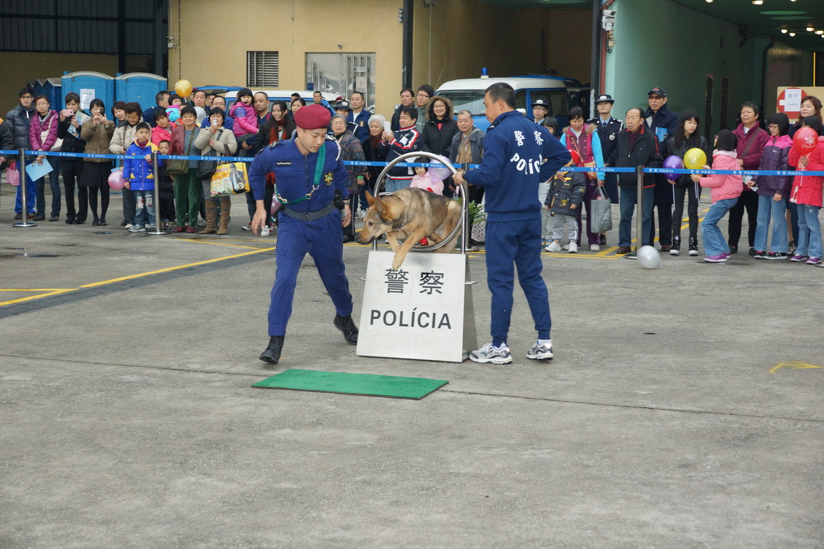 圖片13