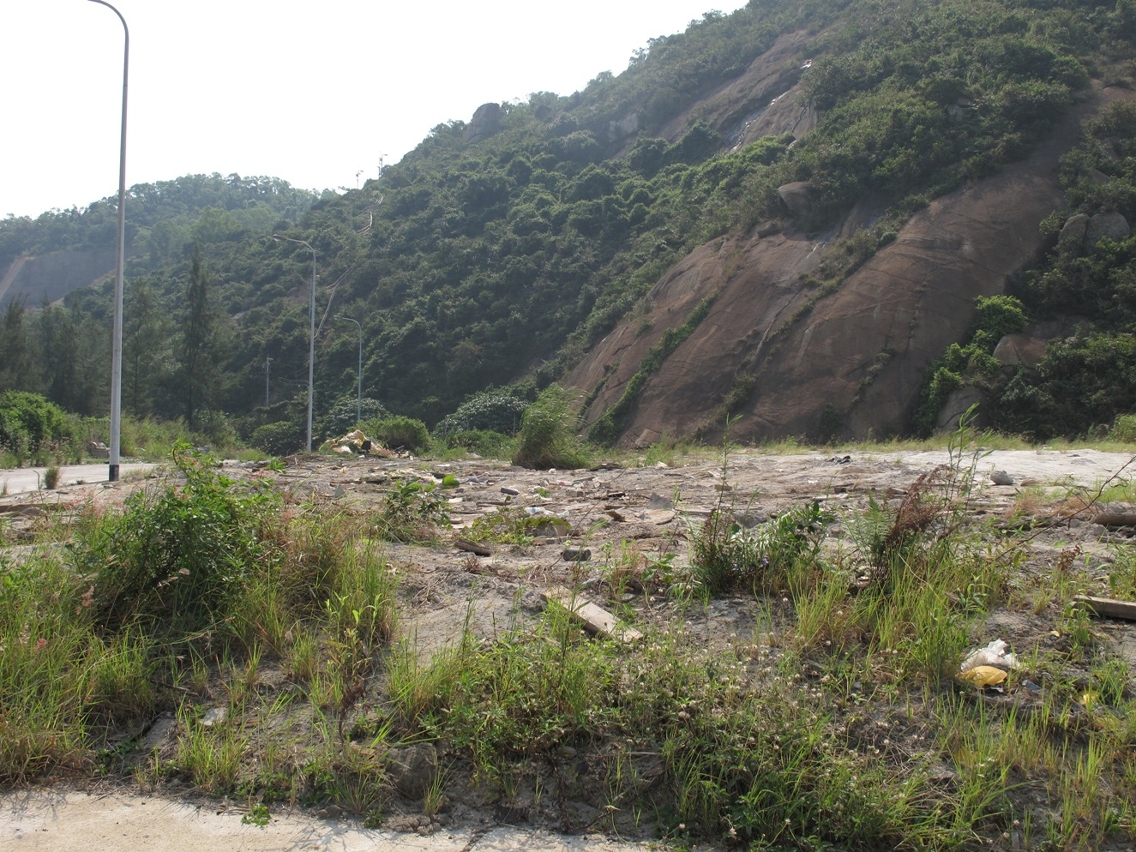 )2009年10月27日收地行動前，佔用人自行清理現場建築材料