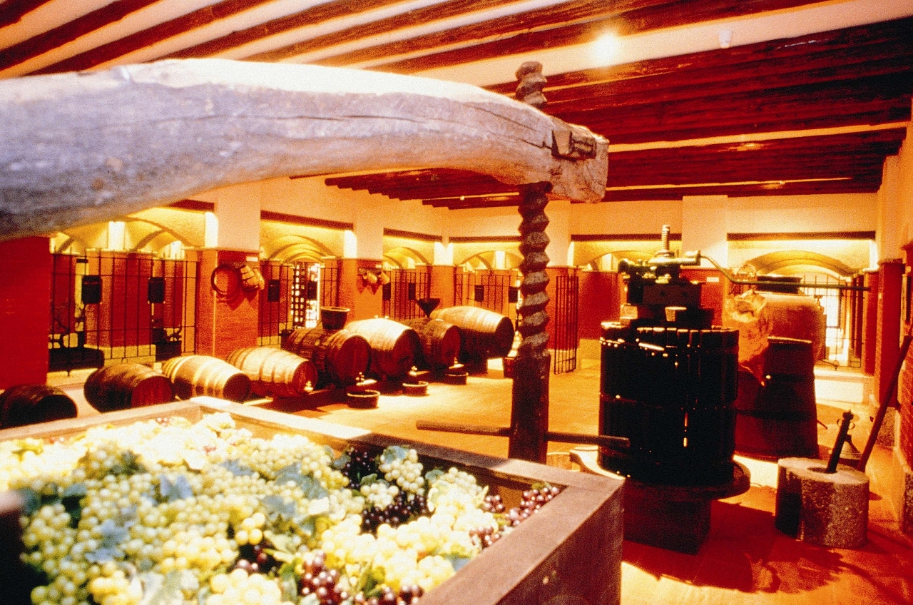 葡萄酒博物館