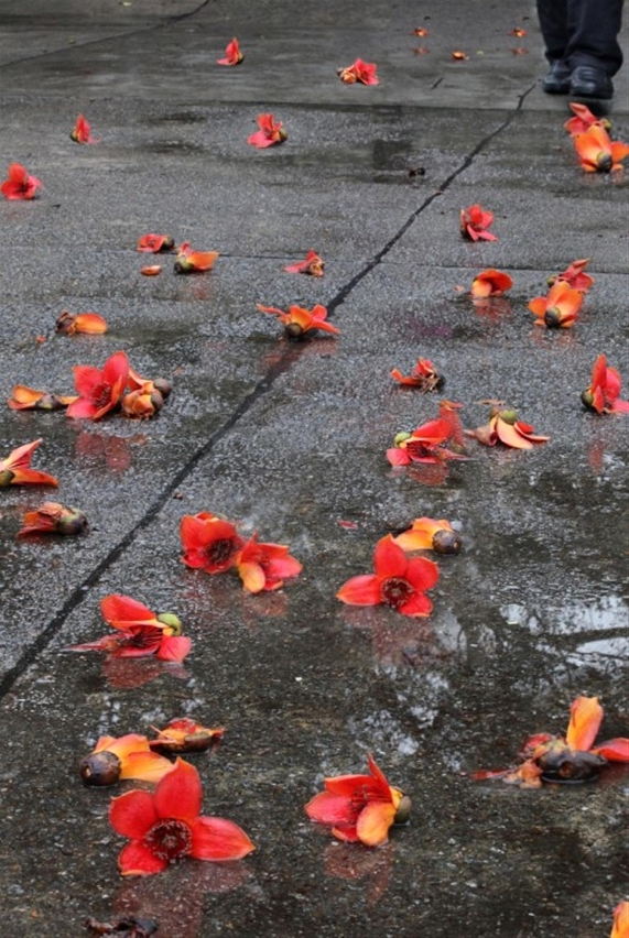 A Exposição “Sentimentos com a Chuva – Obras Fotográficas de Wong Lai Chu”