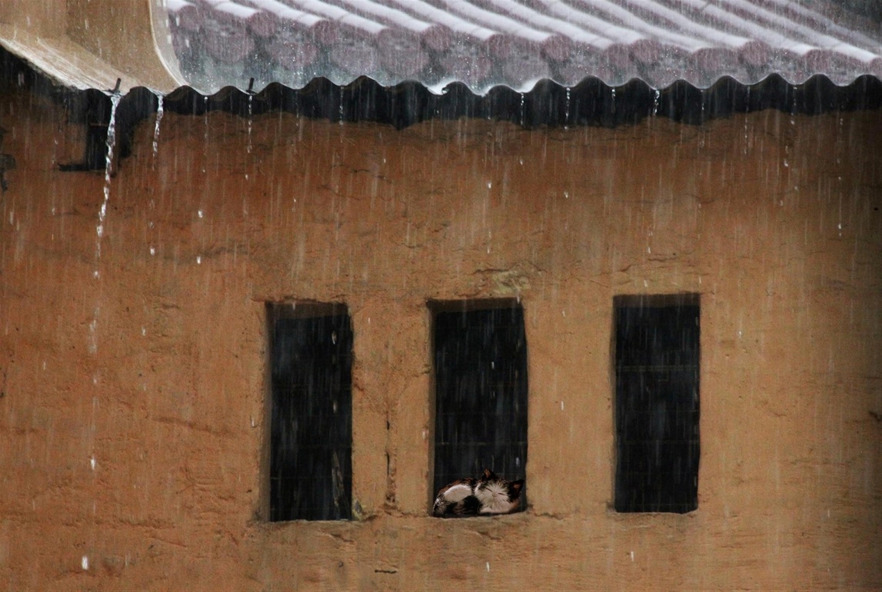 A Exposição “Sentimentos com a Chuva – Obras Fotográficas de Wong Lai Chu”