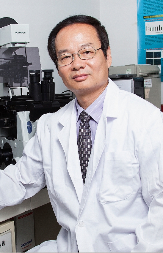 Chair Professor Ge Wei