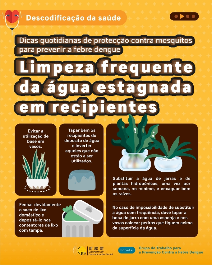 Dicas quotidianas de protecção contra mosquitos para prevenir a febre dengue (2)