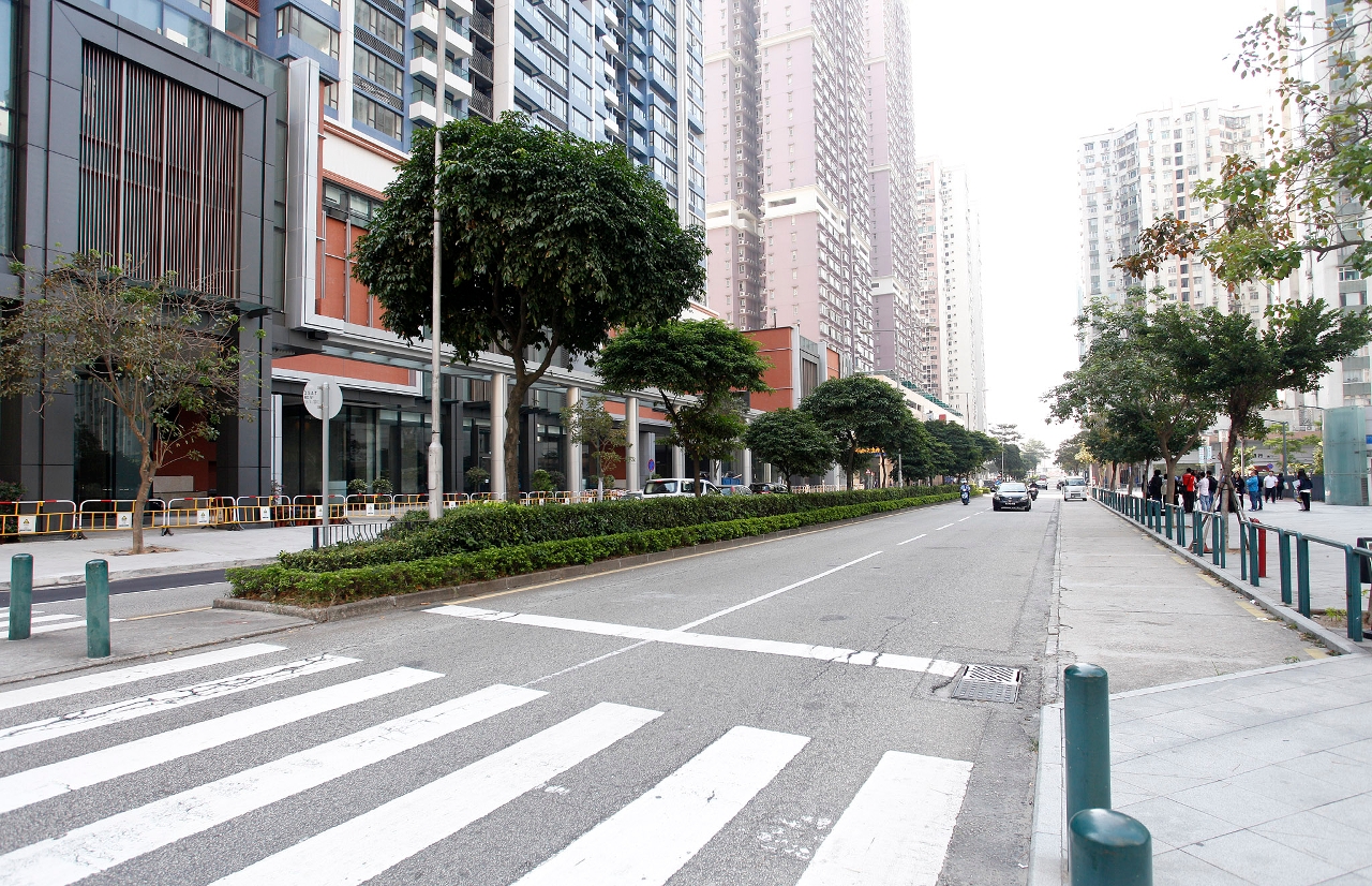 Avenida de Guimarães