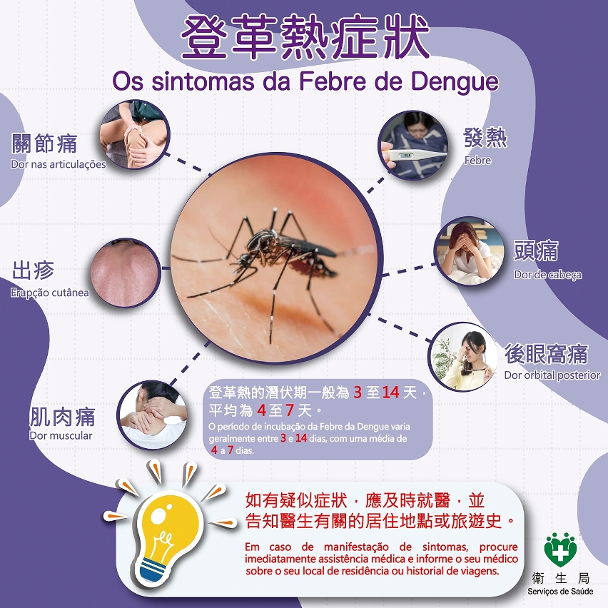 登革熱症狀