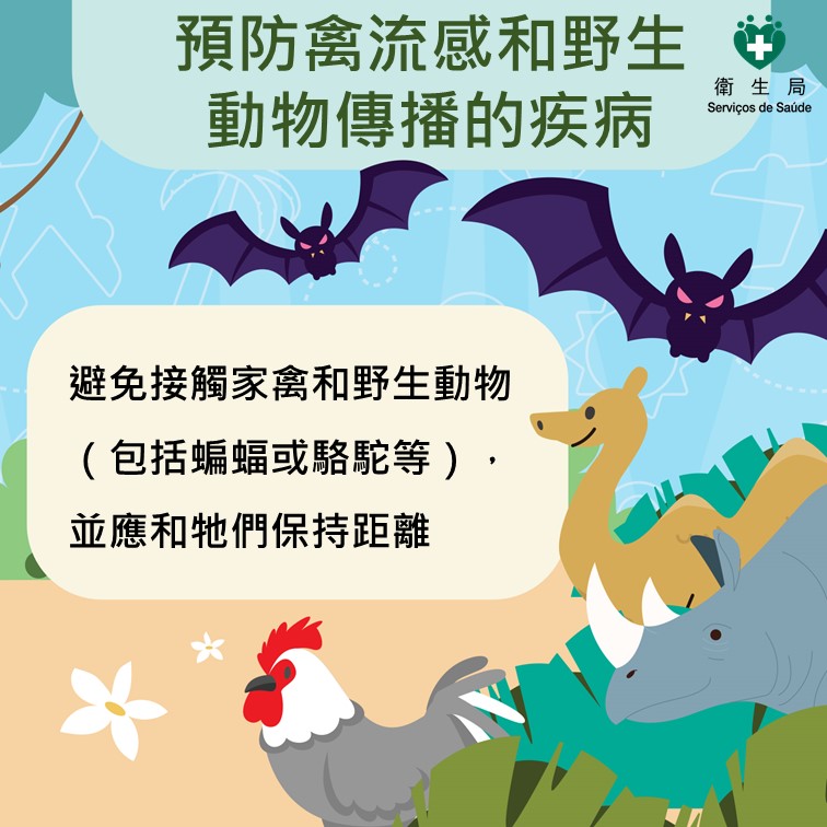 暑假出遊健康安心錦囊