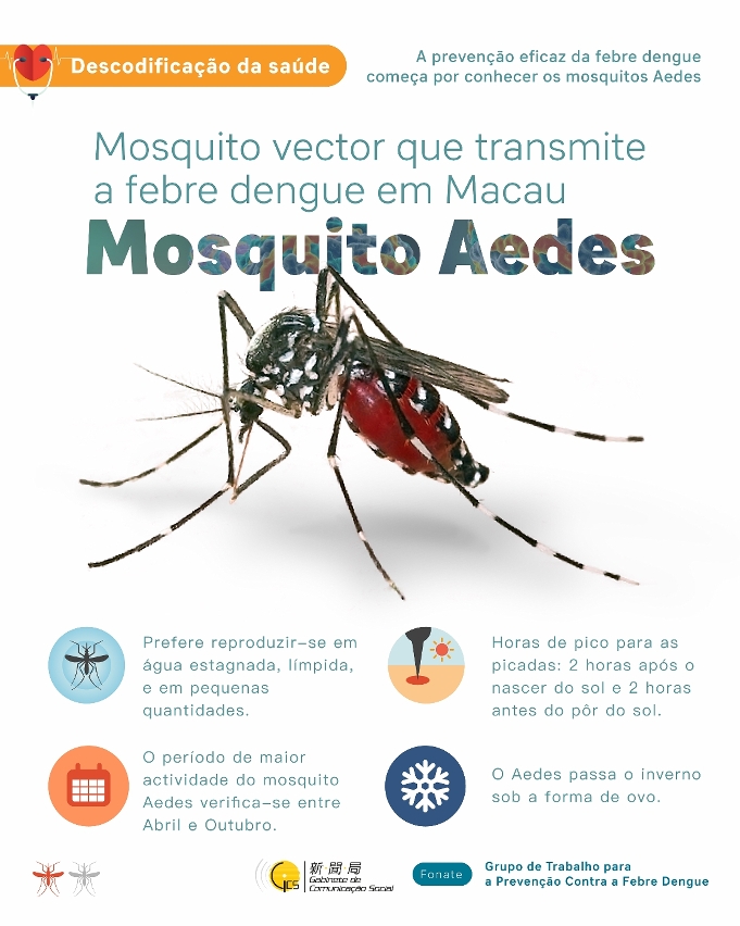 A prevenção eficaz da febre dengue começa por conhecer os mosquitos aedes (1)