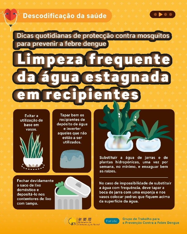 Dicas quotidianas de protecção contra mosquitos para prevenir a febre dengue (2)