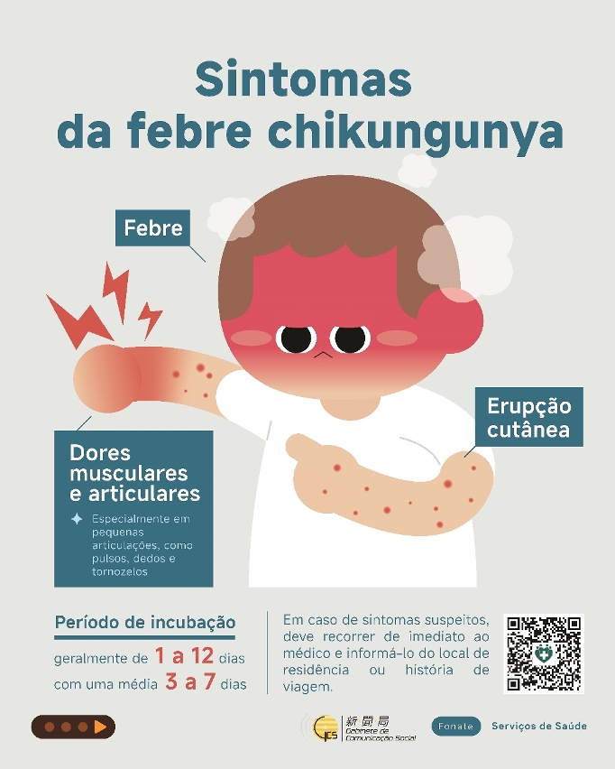 Infografia da febre chikungunya