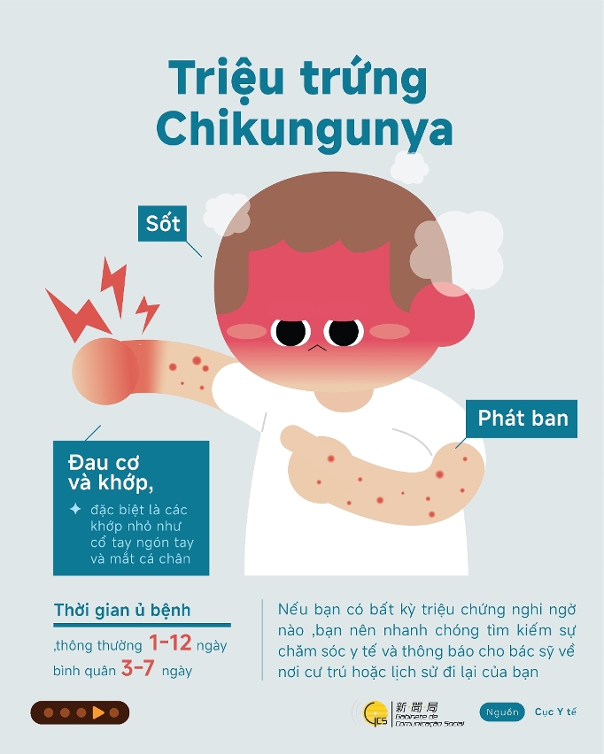 Symptoms of Chikungunya Fever  ( Vietnamese)