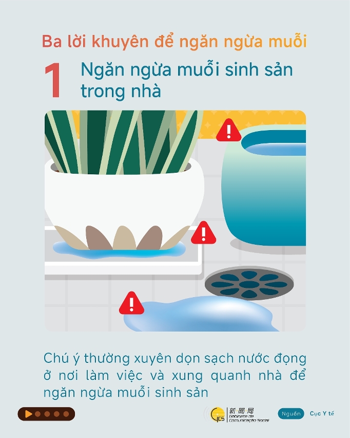 Prevent mosquito breeding at home ( Vietnamese)