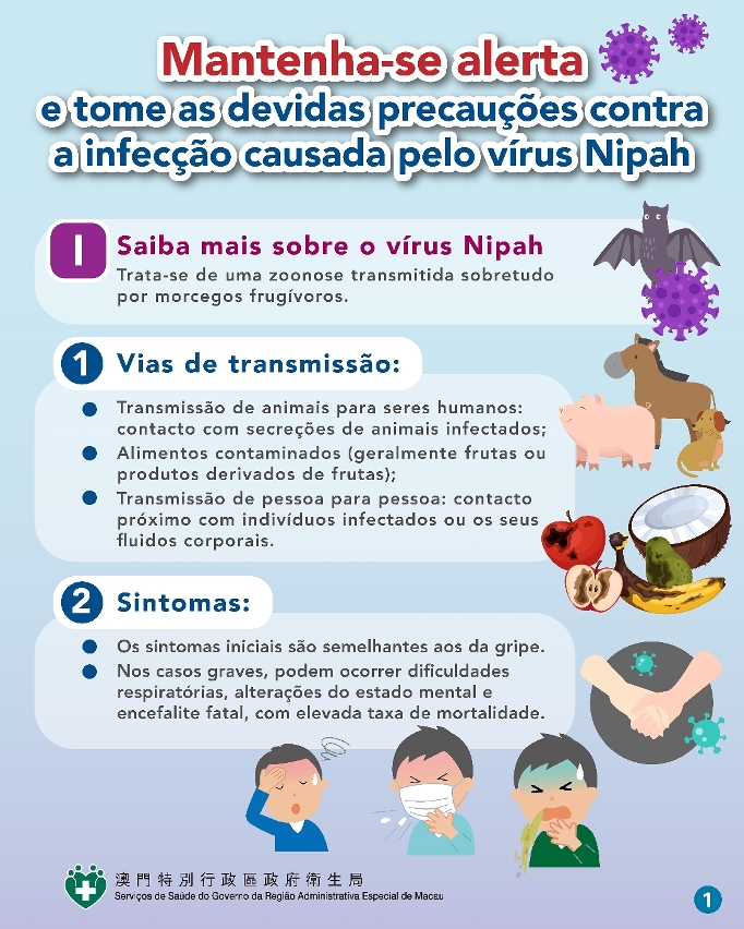 Infografia sobre precauções contra a infeção pelo vírus nipah_01